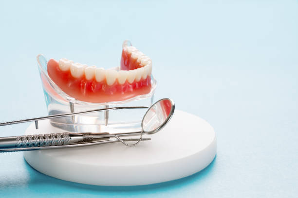 Best Emergency Dental Care  in Key Vista, FL