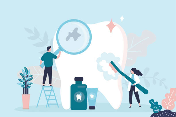 Why Choose Us for Your Dental Needs in Key Vista, FL